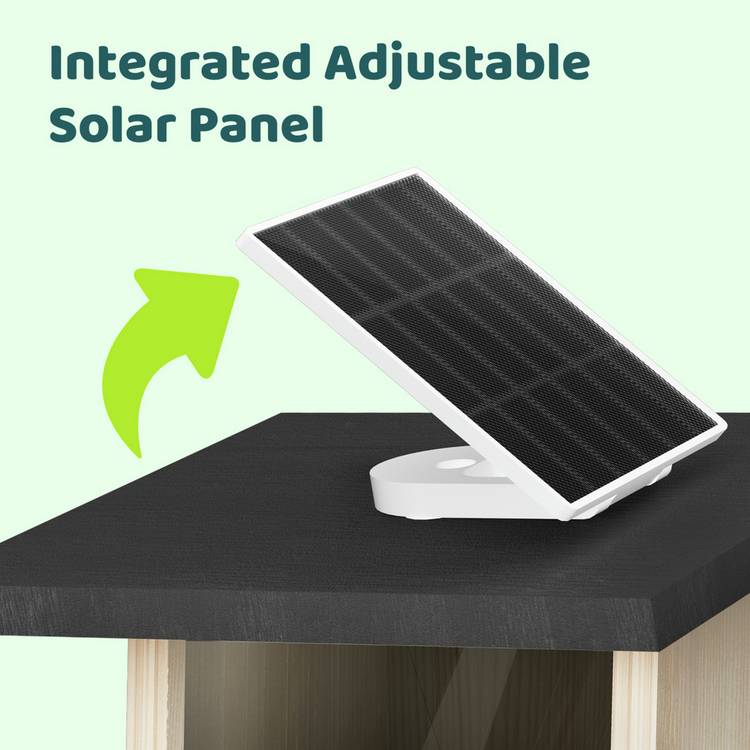 Birdfy Ebony Lite bird feeder with solar panel, imported from the UK