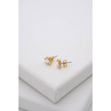 Ted Baker heart stud earrings clear crystal, UK version
