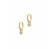 Argos Ted Baker Sinalaa Crystal Huggie Earrings- Buy online at McGrocer