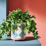 Argos Habitat Harlequin Ceramic Blue Planter with Saucer- Buy online at McGrocer