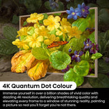 Hisense Smart TV QLED Canvas 55 inch, UK version