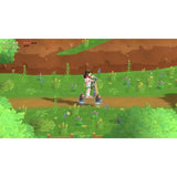 Harvest Moon Home Sweet Home Special Edition game (British brand)