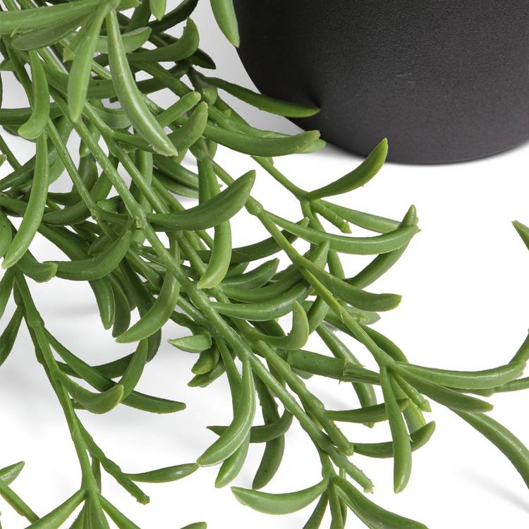 Habitat artificial green trailing fern plant 22.5cm, UK version