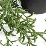 Habitat artificial green trailing fern plant 22.5cm, UK version
