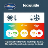 Silentnight Anti Allergy 4.5 Tog Duvet Single (British brand)