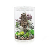 Argos biOrb Multi-Colour Remote Aquarium Tube White- Buy online at McGrocer