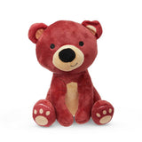 Argos Petface Bear Plush Dog Toy- Buy online at McGrocer