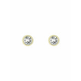 Argos Ted Baker Sinaa Crystal Stud Earrings- Buy online at McGrocer