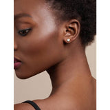 Ted Baker crystal stud earrings gold tone European crystal (British brand)