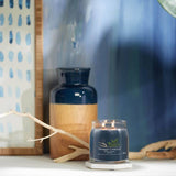 Argos Yankee Signature Medium Scented Candle Bayside Cedar 368g- Buy online at McGrocer