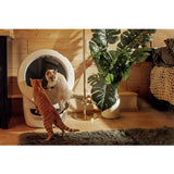 Litter Robot 4 automatic cat litter tray white - British product