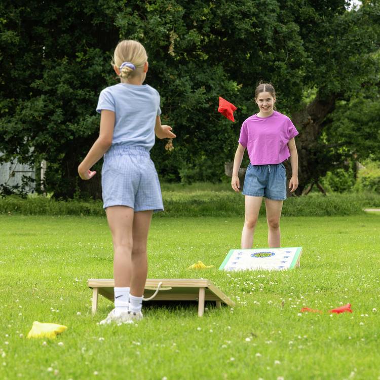 Toyrific Grasshopper Games Cornhole Set wooden folding - British product