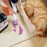 Gtech Penguin SC01 corded spot carpet cleaner, imported from the UK