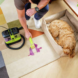 Gtech Koala SC02 corded spot carpet cleaner - British product