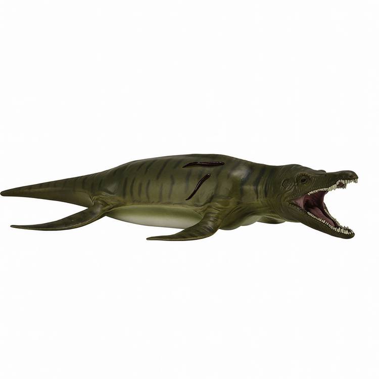 CollectA Pliosaurus dinosaur toy 31cm (British brand)