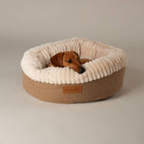 Argos Scruffs Ellen Donut Dog Bed Medium- Buy online at McGrocer