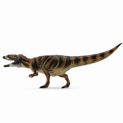 Argos CollectA Carcharodontosaurus Dinosaur Toy 31.6 cm- Buy online at McGrocer