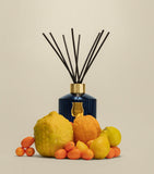 Trudon Reggio reed diffuser refill 300ml - British product