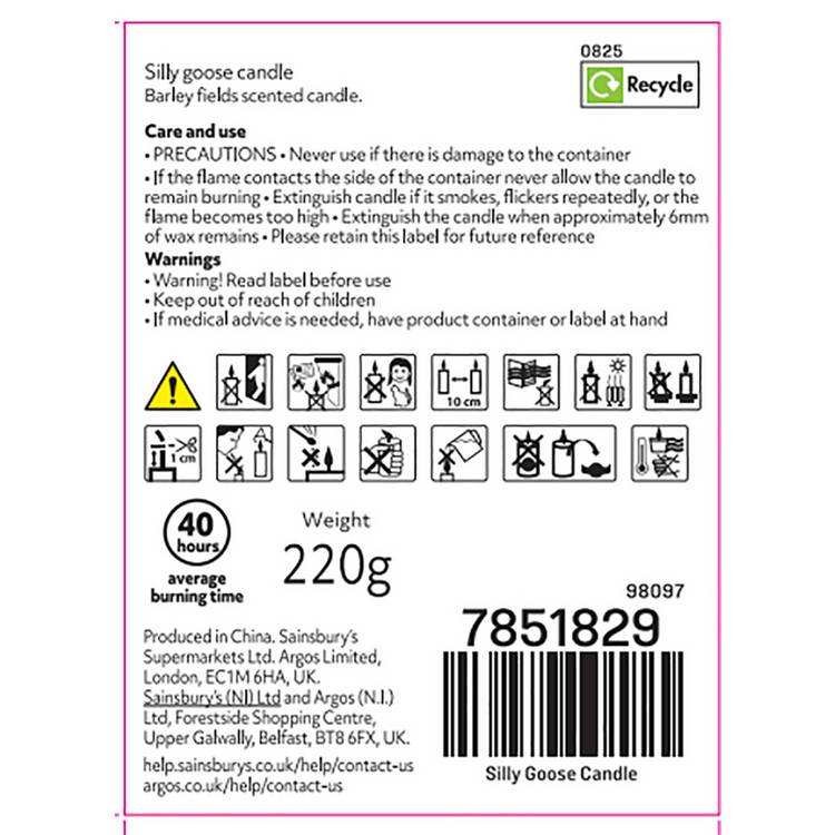 Argos Home Silly Goose scented candle 8cm, UK version