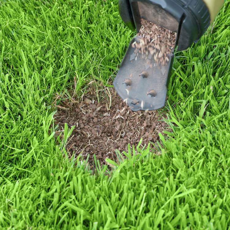 Miracle-Gro Dog Spot Repair lawn patch mix 1293g, UK version