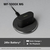 Sony WF-1000XM6 noise cancelling earbuds black, UK version