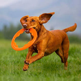 Bionic Toss N Tug Turbo orange pet toy, imported from the UK