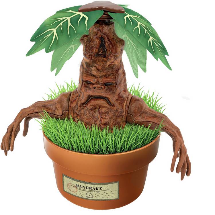 Harry Potter Mandrake growing kit with plaster and paints (British brand)
