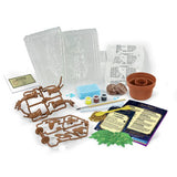 Harry Potter Mandrake growing kit with plaster and paints (British brand)