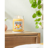 Argos Yankee Candle Zesty Margarita Large Scented Jar Candle- Buy online at McGrocer