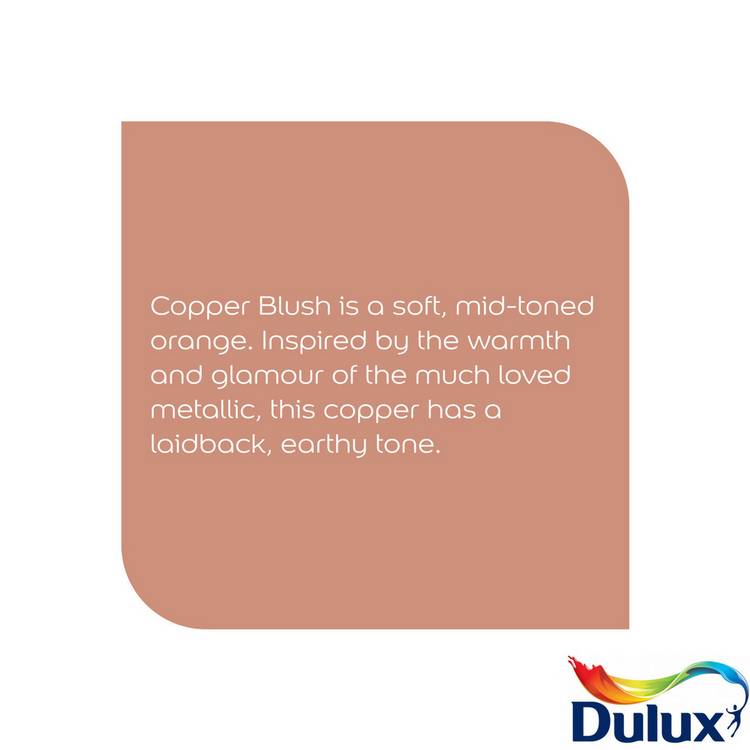 Dulux paint Copper Blush 2.5L, UK version