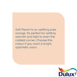 Dulux Walls & Ceilings Matt paint Soft Peach 2.5L (British brand)