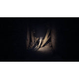 REANIMAL Xbox Series X horror game (British brand)