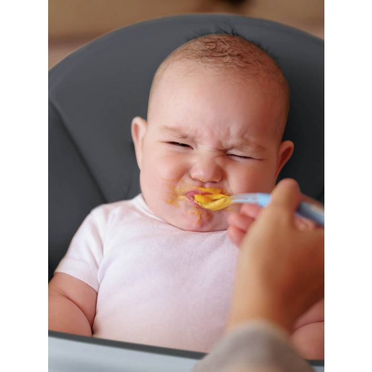 Silver Cross Eat & Play 4-in-1 highchair (British brand)