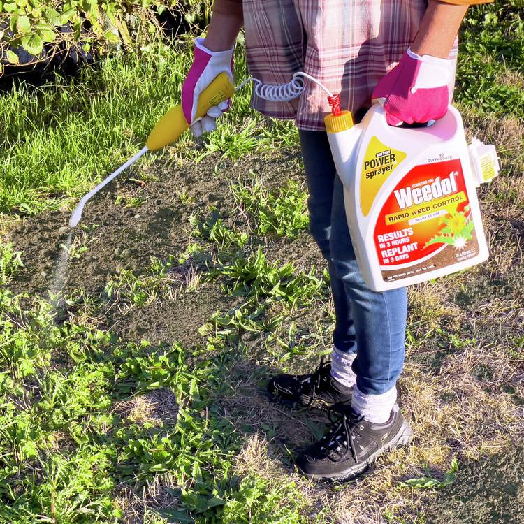 Weedol Rapid Weedkiller 5L with power sprayer, UK version