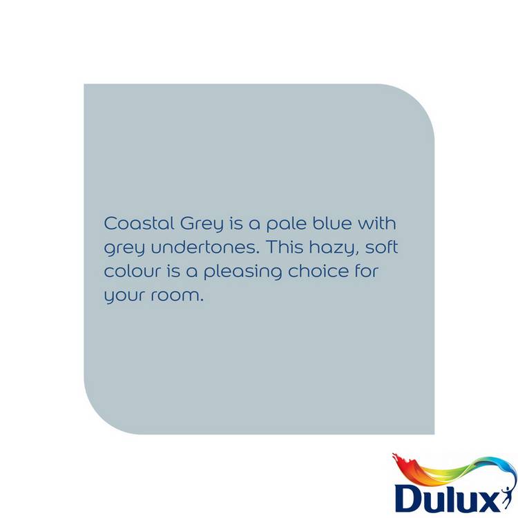 Dulux Easycare Washable & Tough Matt Coastal Grey paint 2.5L - British product