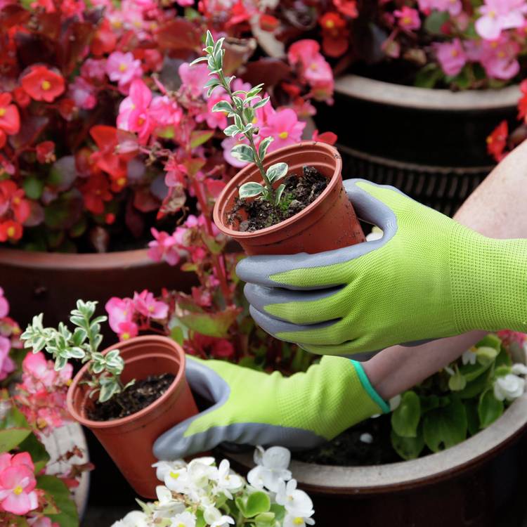 Spear & Jackson gardening gloves trio pack large - British product