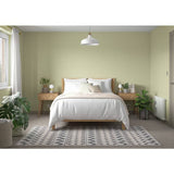 Dulux paint Fresh Artichoke 2.5L, imported from the UK