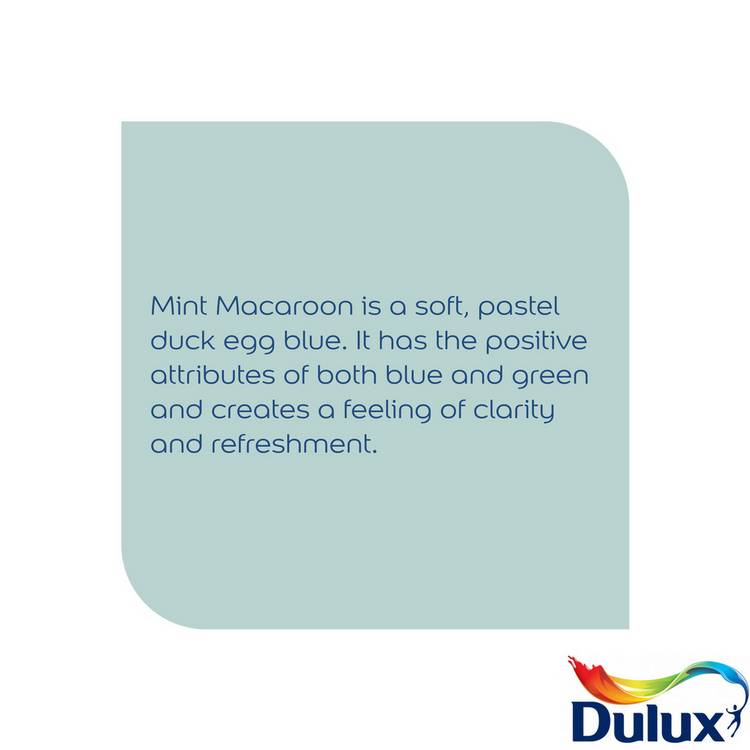 Dulux Easycare Matt paint Mint Macaroon 2.5L, imported from the UK