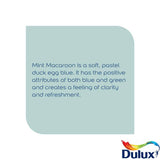 Dulux Easycare Matt paint Mint Macaroon 2.5L, imported from the UK