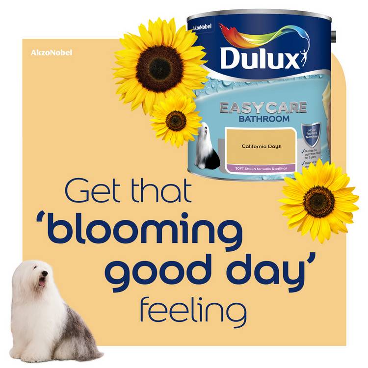 Dulux Easycare Bathroom Soft Sheen California Days 2.5L, UK version
