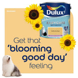 Dulux Easycare Bathroom Soft Sheen California Days 2.5L, UK version