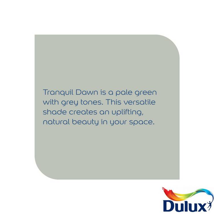 Dulux Easycare Kitchen paint Tranquil Dawn 2.5L, UK version