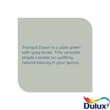 Dulux Easycare Kitchen paint Tranquil Dawn 2.5L, UK version