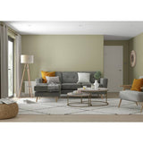 Dulux Easycare washable tough paint Overtly Olive 2.5L, imported from the UK