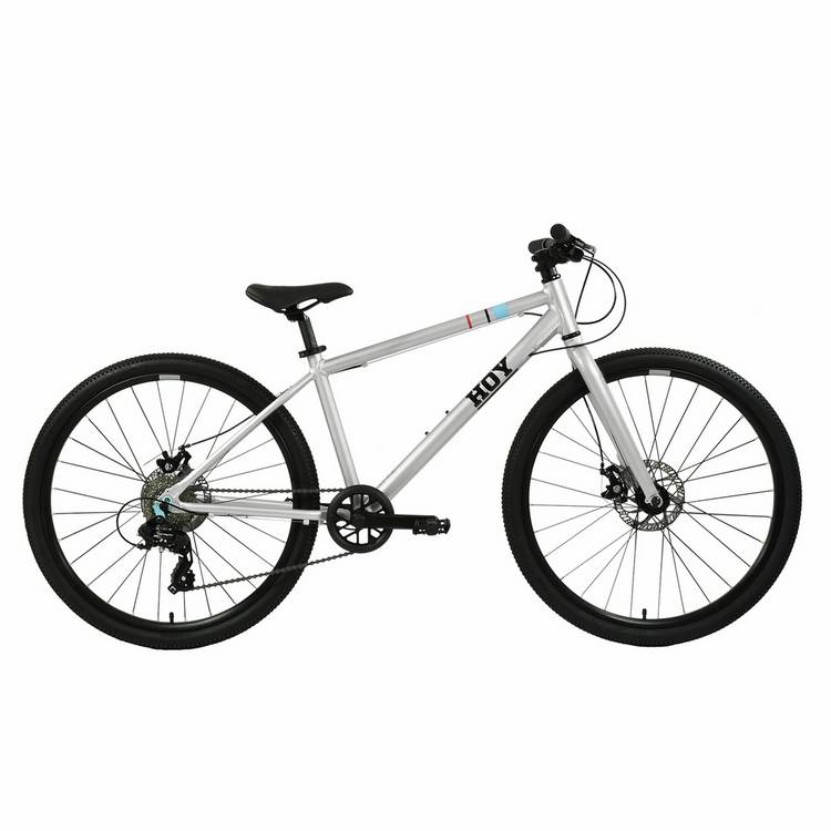 Hoy kids bike Titanium Silver 26 inch (British brand)