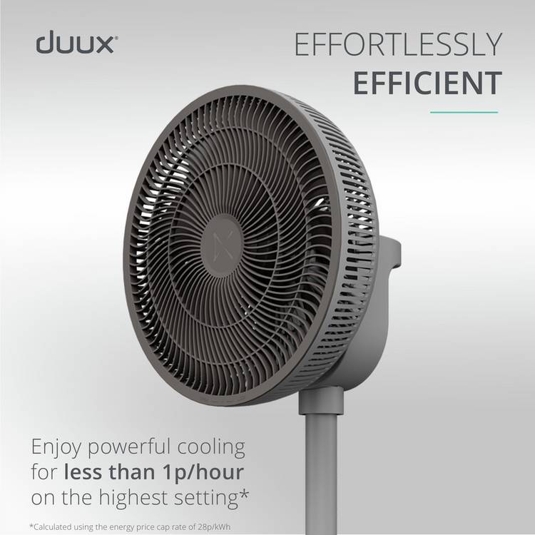 Duux pedestal fan Grey 13 inch, imported from the UK