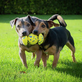 Zeus weighted grip ball dog toy - British product