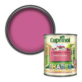 Argos Cuprinol Garden Shades Matt Paint Sweet Sundae 1L- Buy online at McGrocer
