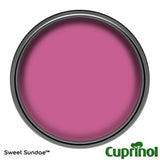 Cuprinol Garden Shades Matt Paint Sweet Sundae 1L - British product