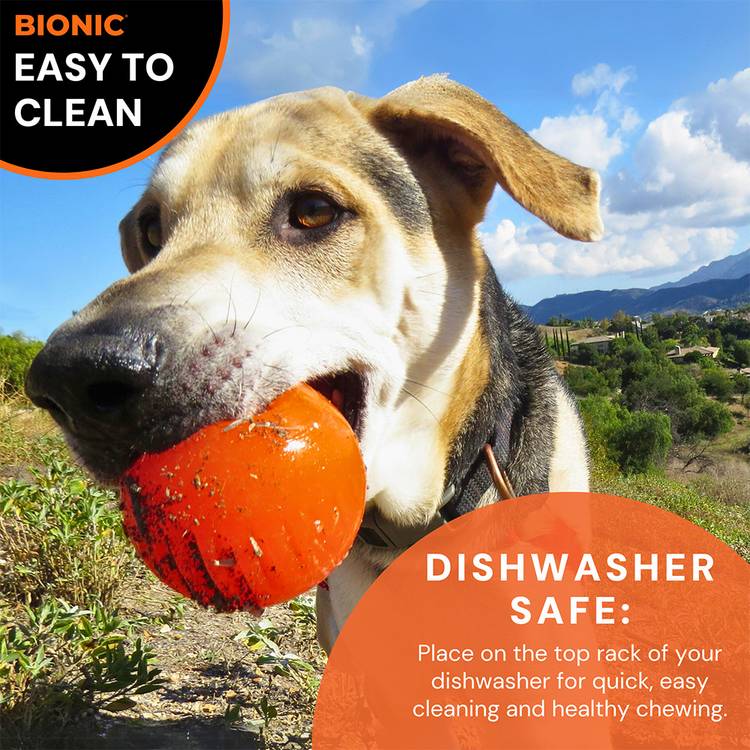 Bionic Ball large dog toy in orange, UK version